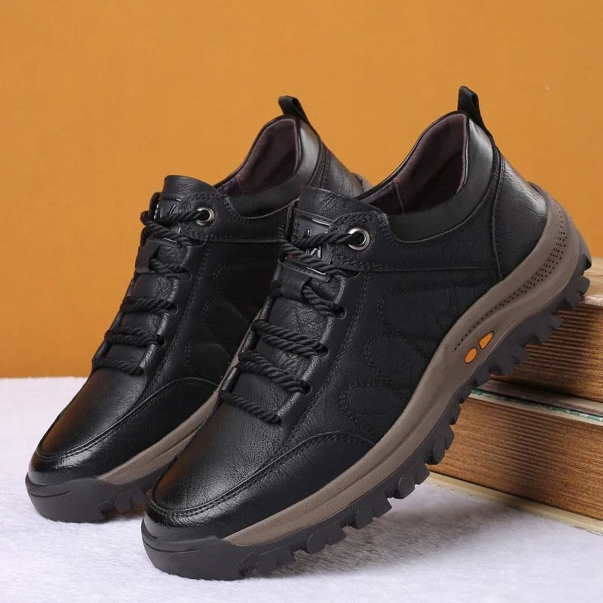 Pair of black leather lace-up casual shoes resting against books